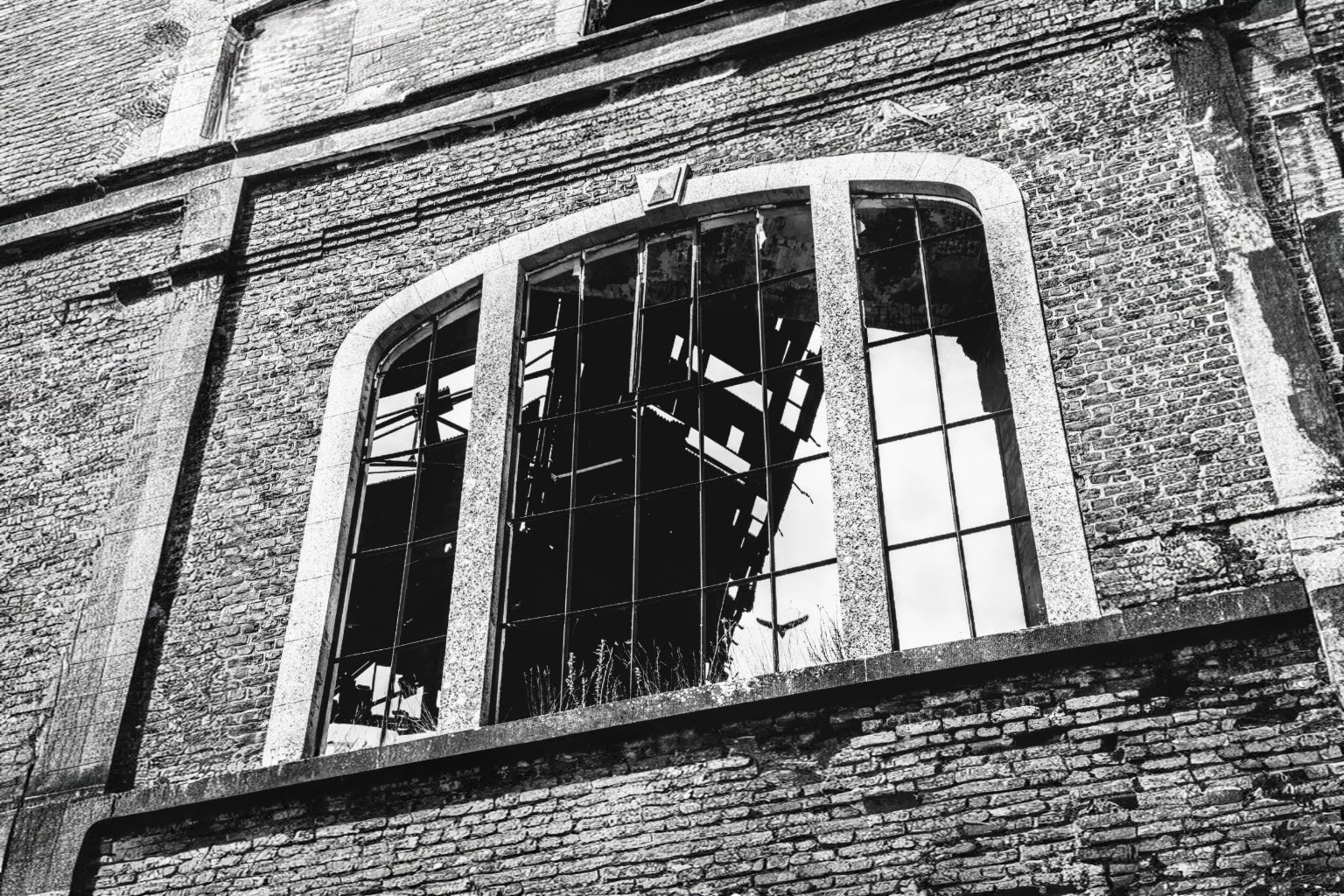 Grandes fenêtres d’un bâtiment industriel abandonné