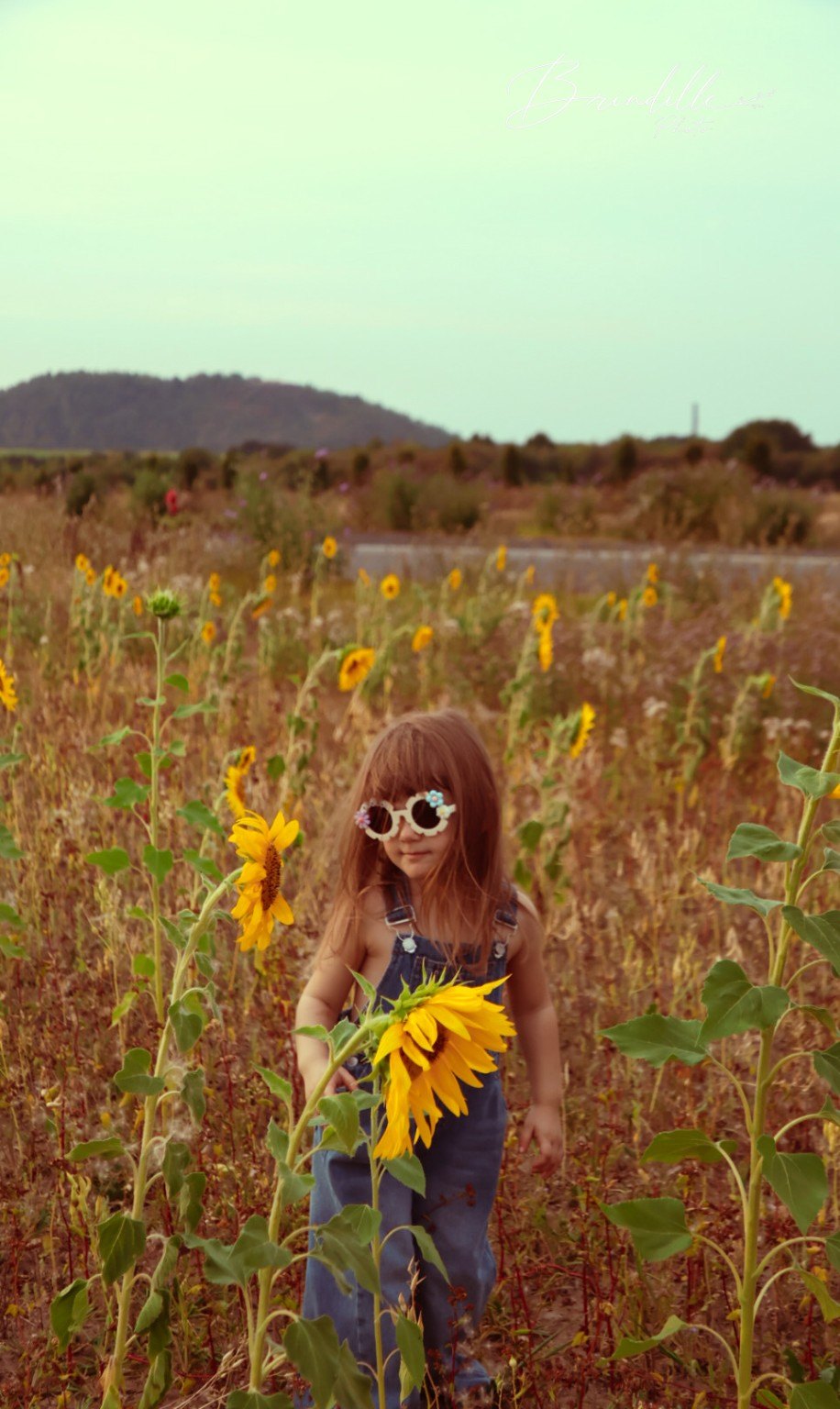 Enfant dans un champ de tournesols