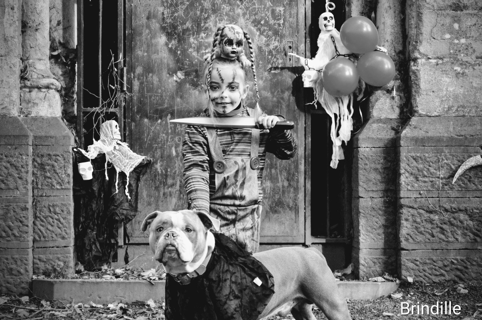 Portrait Halloween avec un chien devant une façade ancienne